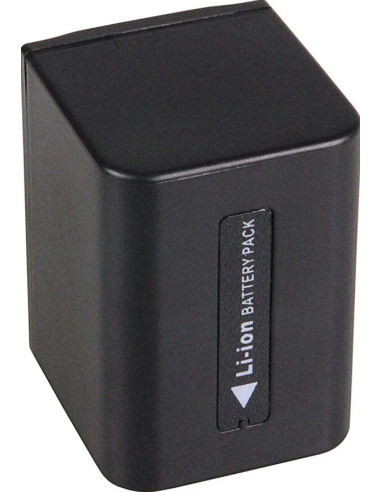 1166 Batteria per fotocamera/videocamera Ioni di Litio 1600 mAh