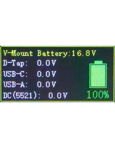 Platinum V-Mount Batteria BP-99W PD65 99Wh USB-C USB-A 2xD-Tap DC-out inclusa Custodia rigida
