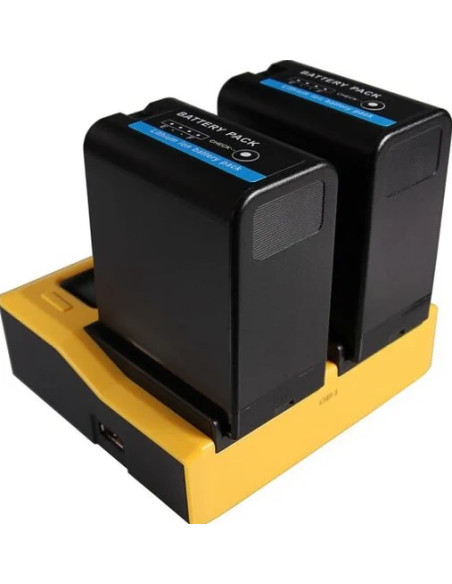 Caricabatteria LCD USB doppio per Sony BP-U30 BP-U60 BP-U90