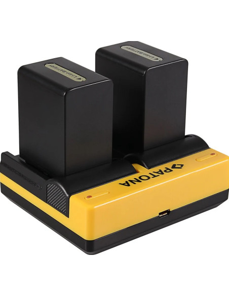 191557 carica batterie Caricatore per batteria USB