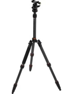 Compact Traveler No. 1 in Carbonio