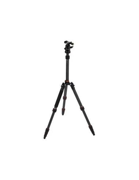 Compact Traveler No. 1 in Carbonio