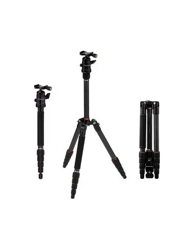 Compact Traveler No. 1 in Carbonio