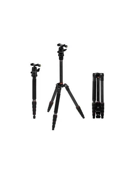 Compact Traveler No. 1 in Carbonio