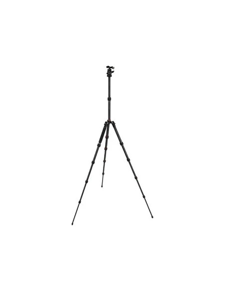 Compact Traveler No. 1 in Carbonio