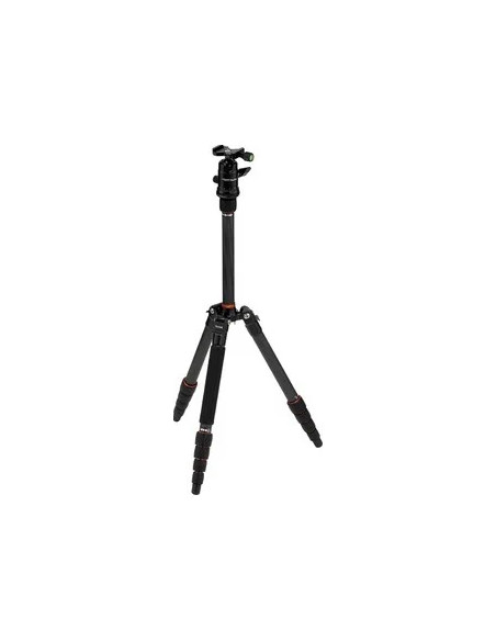 Compact Traveler No. 1 in Carbonio