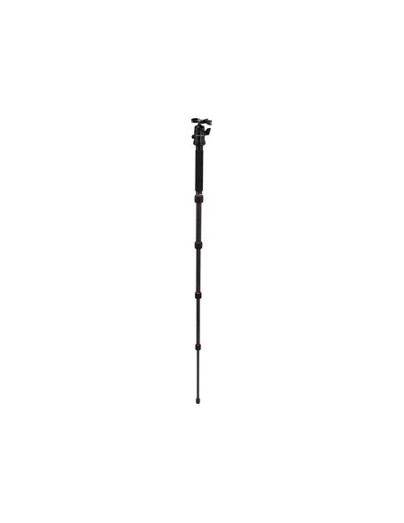 Compact Traveler No. 1 in Carbonio