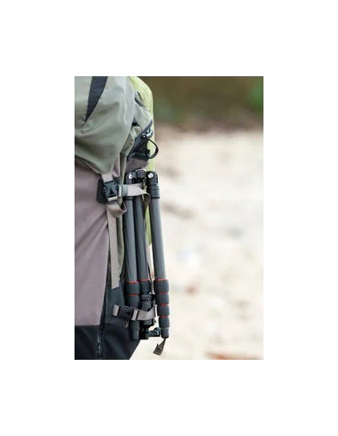 Compact Traveler No. 1 in Carbonio