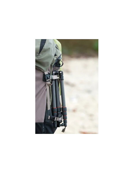 Compact Traveler No. 1 in Carbonio