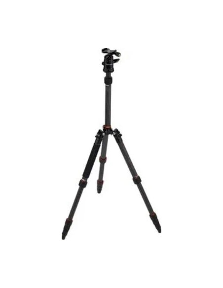 Compact Traveler No. 1 in Carbonio
