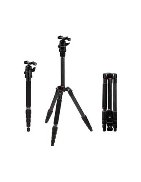 Compact Traveler No. 1 in Carbonio
