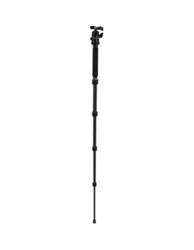 Compact Traveler No. 1 in Carbonio