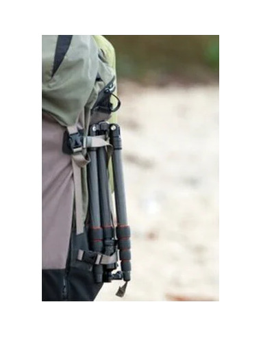 Compact Traveler No. 1 in Carbonio