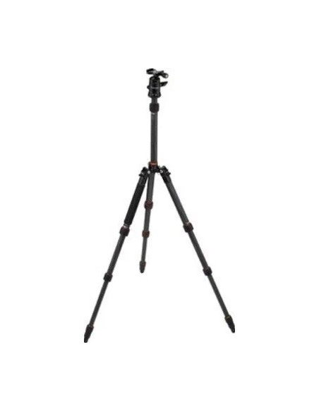 Compact Traveler No. 1 in Carbonio