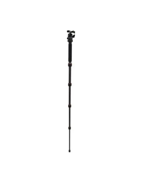 Compact Traveler No. 1 in Carbonio