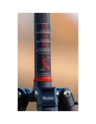 Compact Traveler No. 1 in Carbonio