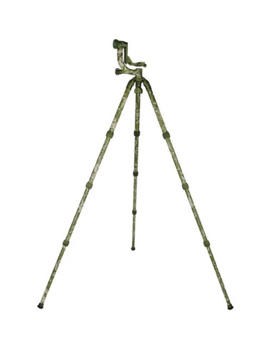 Treppiede in carbonio CT-3204 + Testa Gimbal CH20 Camouflage