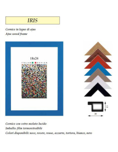 NOVOGLASS CORNICE IRIS 25X35