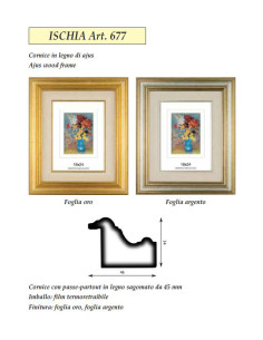 NOVOGLASS CORNICE ISCHIA ART. 677 20X30 CON VETRO