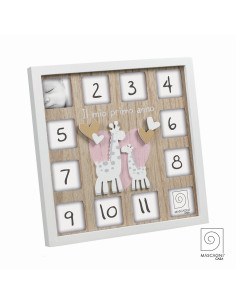 MASCAGNI PORTAFOTO ANNUARIO A1764 24X24 WC ROSA