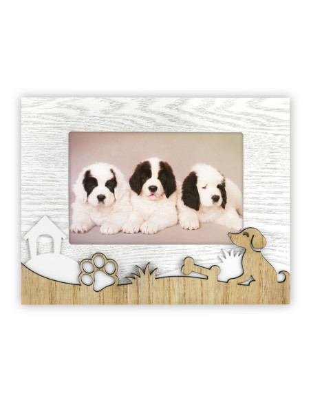 ZEP CORNICE ZX964 10X15 BALTO