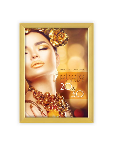 ZEP CORNICE WT23G 20X30 WALES GOLD