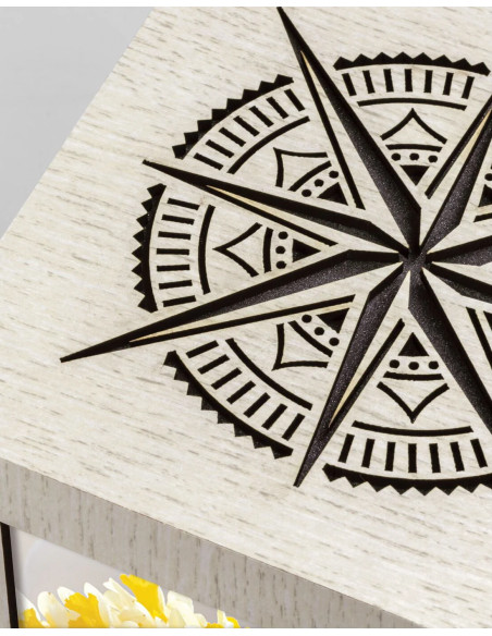 GEH15 Harry Big 4X10X15