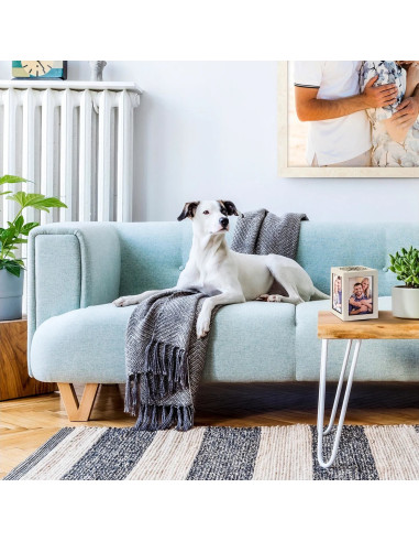 GEH15 Harry Big 4X10X15