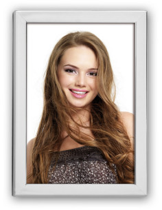 ZEP CORNICE 5S01-8R 20X25 SILVER FRAME