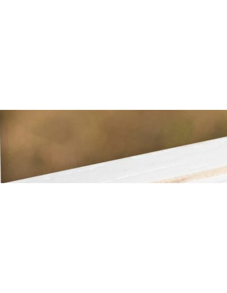 AC281W cornice per quadro Cornice per foto singola Bianco