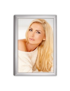 ZEP CORNICE 120S20-6R 15X20 SILVER FRAME