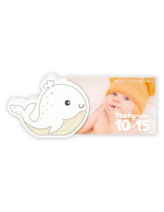 ZEP CORNICE HN2346 10X15 FIBI BABY
