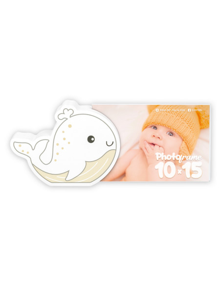 ZEP CORNICE HN2346 10X15 FIBI BABY