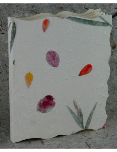 EDICART ALBUM 818/SN 18X23 NEUTRO