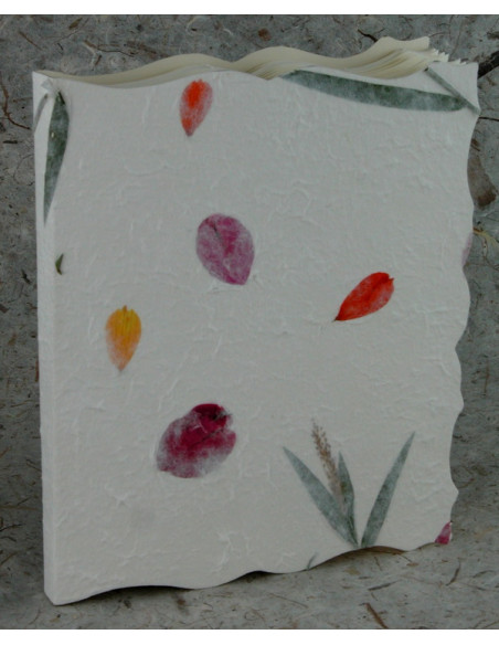 EDICART ALBUM 818/SN 18X23 NEUTRO