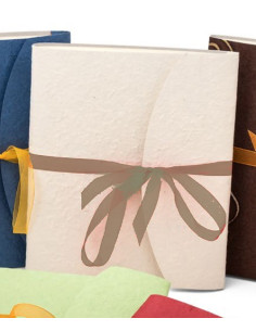 BANDINELLI ALBUM 4433 20X24 10F CARTA NEUTRA CON FIOCCO MARRONE