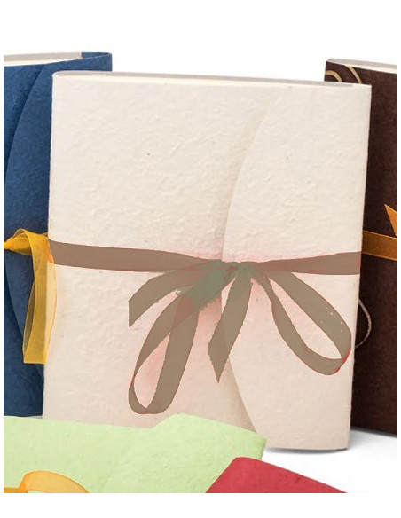 BANDINELLI ALBUM 4433 20X24 10F CARTA NEUTRA CON FIOCCO MARRONE