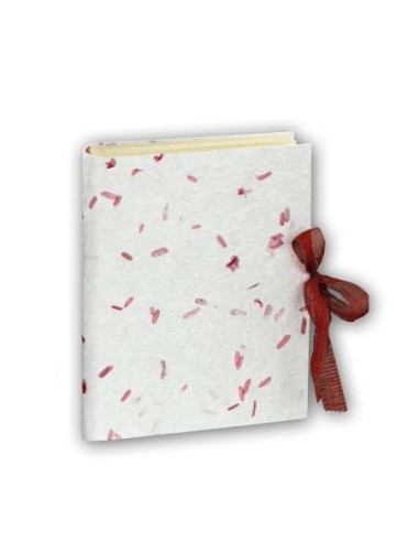 ZEP ALBUM GH424 23X30 AGATA 4 PERGAMIN 30F