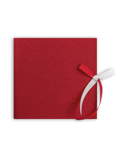 ZEP ALBUM GH902 23X23 NAOMI RED PERGAMIN 14F