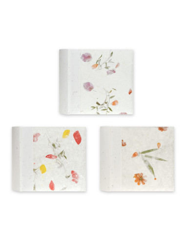 ZEP ALBUM RP46200 10X15 THAI SLIP-IN 200F