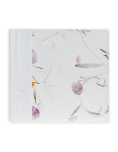 ZEP ALBUM RG242420 24X24 NEPAL PERGAMIN 20F