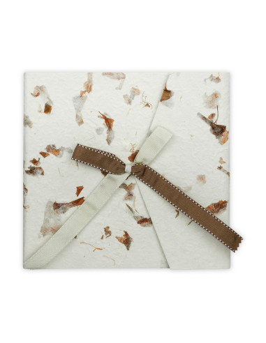 ZEP ALBUM GH876 23X23 PERGAMIN 14F LETIZIA 6 BROWN