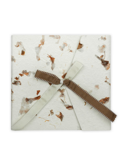 ZEP ALBUM GH876 23X23 PERGAMIN 14F LETIZIA 6 BROWN