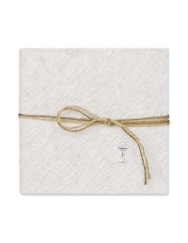 ZEP ALBUM SIMONE GH907 23X23 PERGAMIN 10F