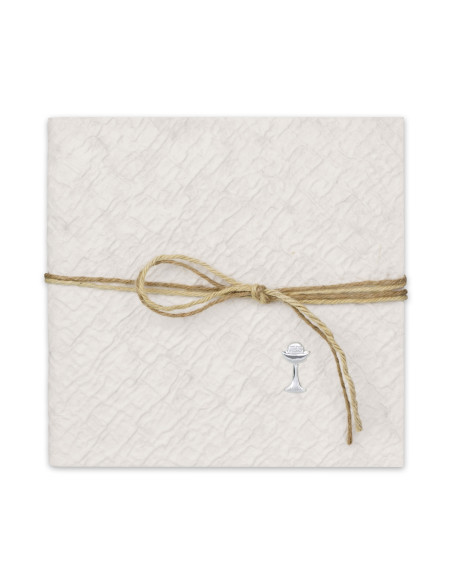 ZEP ALBUM SIMONE GH907 23X23 PERGAMIN 10F