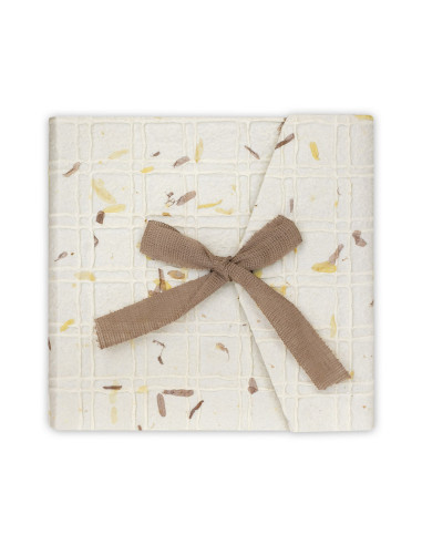 ZEP ALBUM GH877 23X23 LETIZIA PERGAMIN 14F