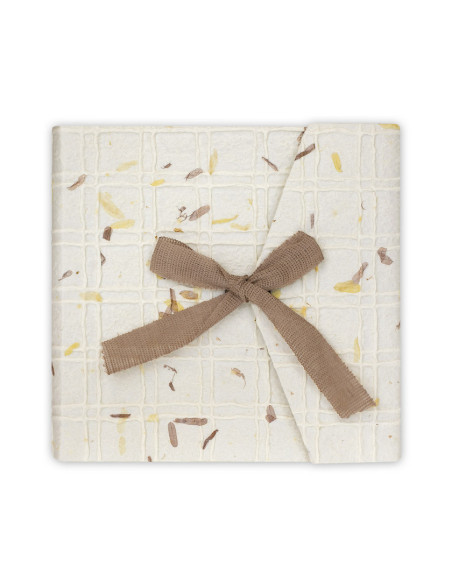 ZEP ALBUM GH877 23X23 LETIZIA PERGAMIN 14F