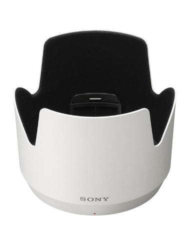 SONY PARALUCE ALC-SH145 X SEL70-200 GM