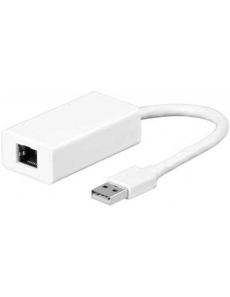 GOOBAY 95035 ADATTATORE DA USB2 A LAN BIANCO