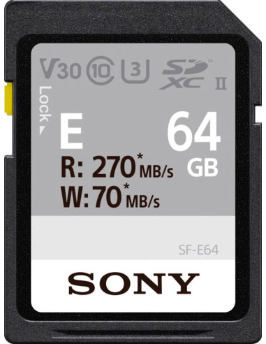 SF-E64A 64 GB SDXC Classe 10